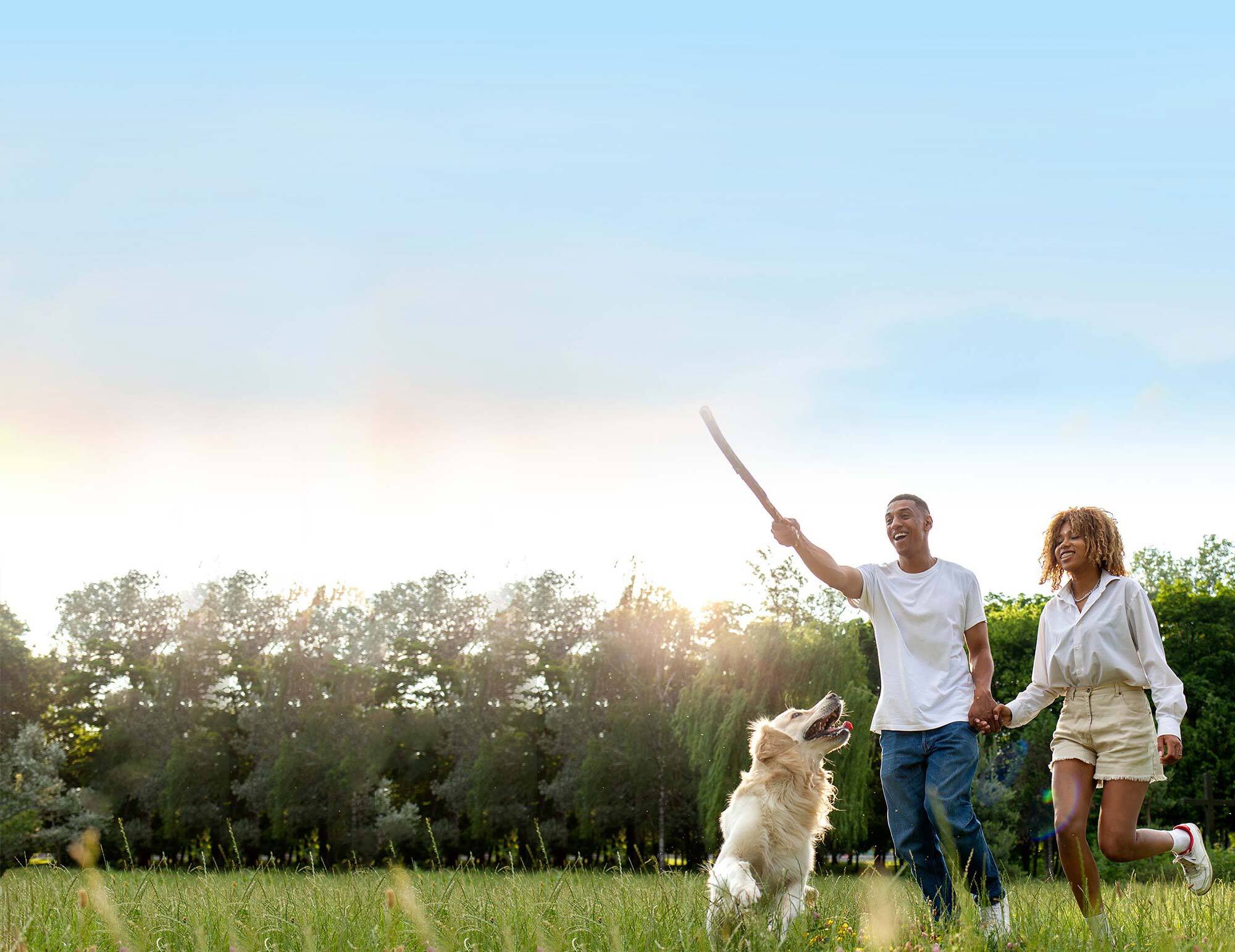 Dallas Property Management Client Testimonials